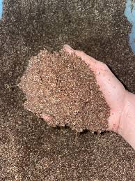The Perfect Guide to Pasteurizing You're Substrate for Mushroom Cultivation